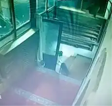 Camiye Giren Köpek Ayakkabı Çaldı!