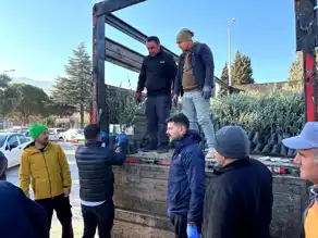Tavas Çiftçilerine 5600 Zeytin Fidanı Desteği
