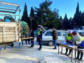 Denizli'den Zeytin Üreticilerine 2005 Fidan Desteği