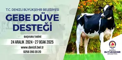 Denizli'den Gebe Düve Desteği!