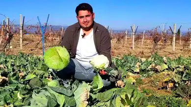 Genç Ziraat Mühendisi Kış Sebzesi Yetiştiriciliğine Başladı