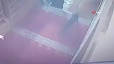 Köpek, Cami Ayakkabısını Çaldı!