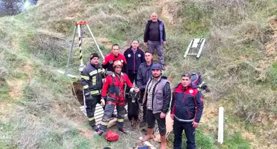 Kuyuya Düşen Keçi Kurtarıldı