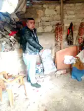 Sokak Köpekleri Buldan'da İki Kuzuyu Öldürdü
