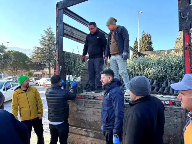 Tavas Çiftçilerine 5600 Zeytin Fidanı Desteği
