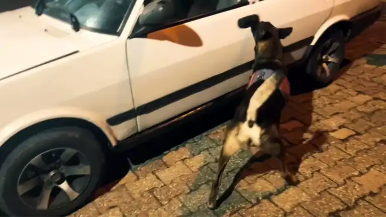Denizli'nin Çardak İlçesinde Uyuşturucu Operasyonu