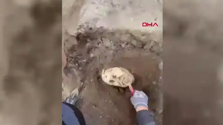 Antik Kentte Heykel Başlığı Bulundu