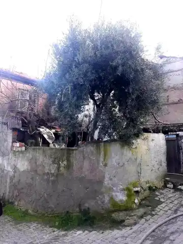 Buldan'da Ev Yangını: Maddi Hasar Var