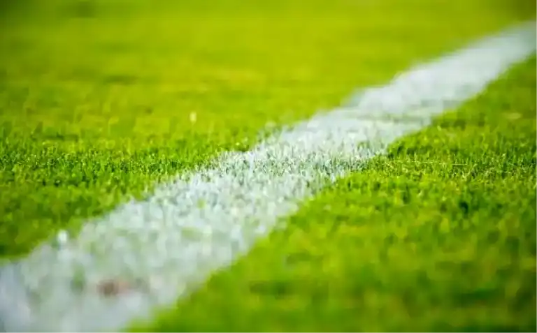 Denizlispor - Nilüfer Belediye Maçı: Saat, Yer ve Yayın Bilgisi