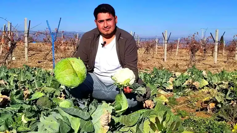 Genç Ziraat Mühendisi Kış Sebzesi Yetiştiriciliğine Başladı