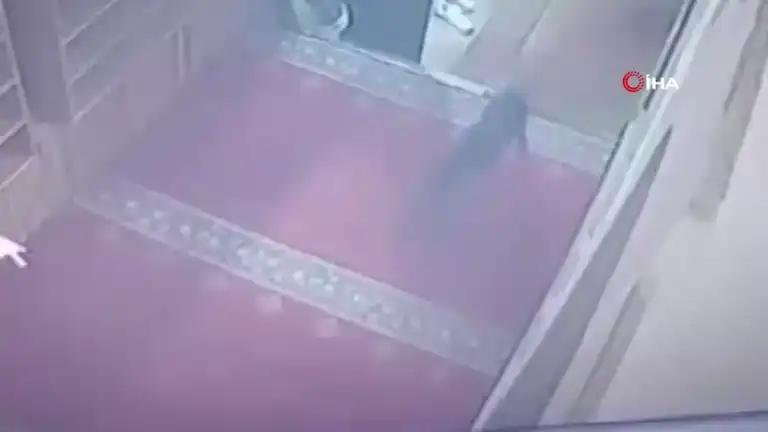 Köpek, Cami Ayakkabısını Çaldı!