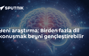 çok dillilik