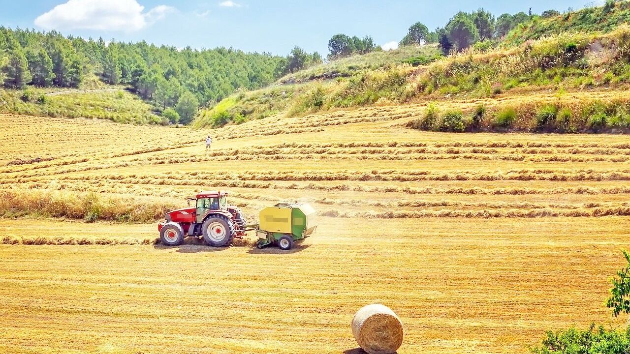 Tarımın Geleceği
