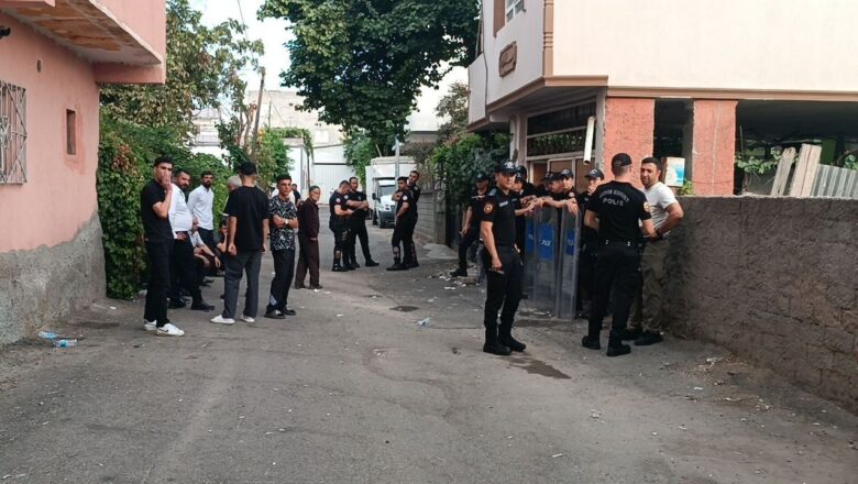 Seve Cihangir