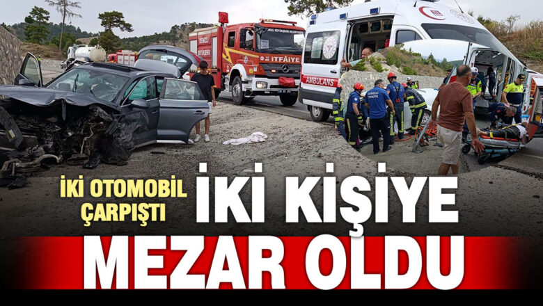 Acıpayam-Çameli yol kaza