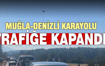 Orman yangını