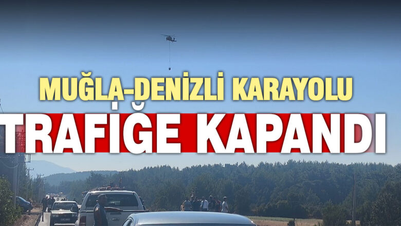Orman yangını