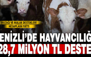 hayvan yetiştiricileri