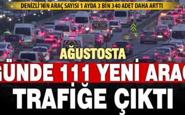 Denizli araç sayısı