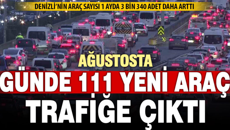 Denizli araç sayısı