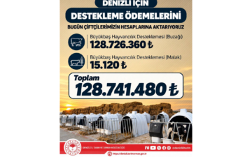 hayvancılık desteği