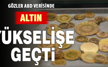 Altın Fiyatları