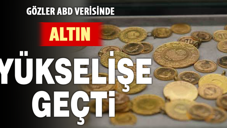 Altın Fiyatları