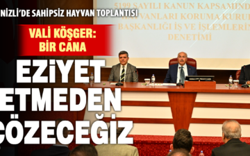 sahipsiz hayvan