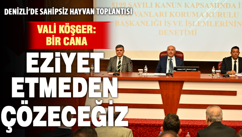 sahipsiz hayvan